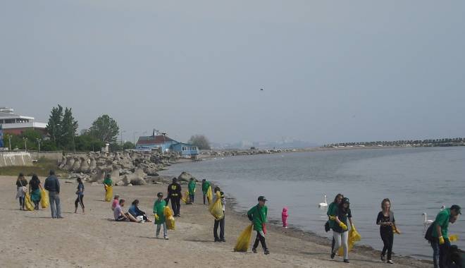 Galerie foto. Sute de kg de deșeuri colectate de voluntari de pe plaja din Mangalia - sutedekgdedeseuri1-1431952552.jpg