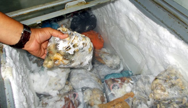 Sute de kilograme de melci de mare, confiscate de Garda de Coastă - sutedekilogramemelcimare-1404321225.jpg