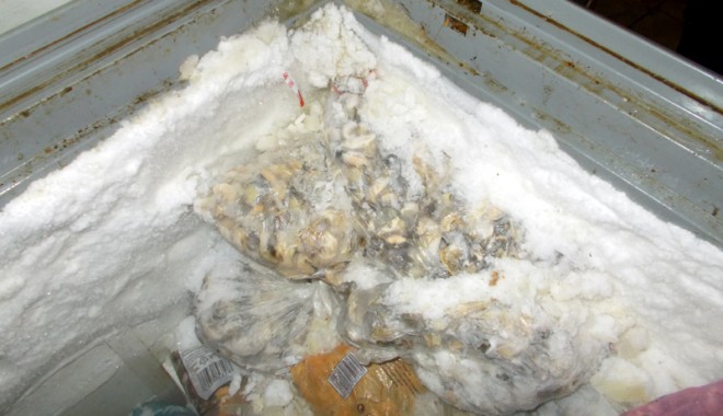 Sute de kilograme de melci de mare, confiscate de Garda de Coastă - sutedekilogramemelcimare1-1404321193.jpg