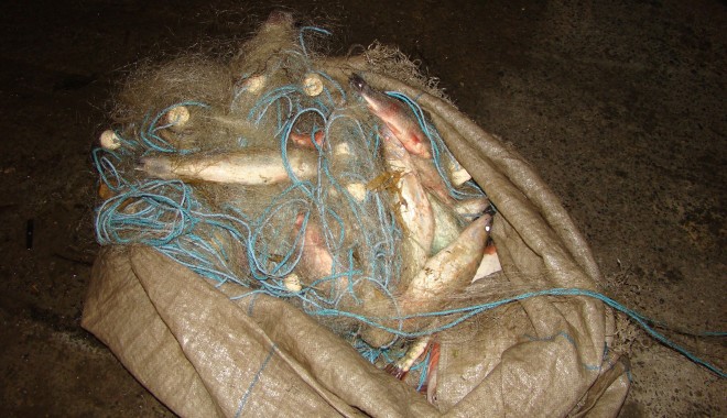 Sute de metri de plase monofilament, confiscate de polițiștii de frontieră - sutedemetri-1393923633.jpg