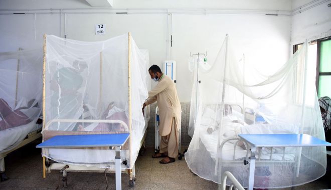 Sute de noi cazuri de infectare cu febra Dengue, în Pakistan. Oamenii mor pe bandă rulantă - sutedenoicazuri-1664556846.jpg