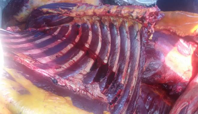 Sute de kilograme de carne de cal, confiscate de polițiștii de frontieră - sutekilogramecarnecal-1431364088.jpg