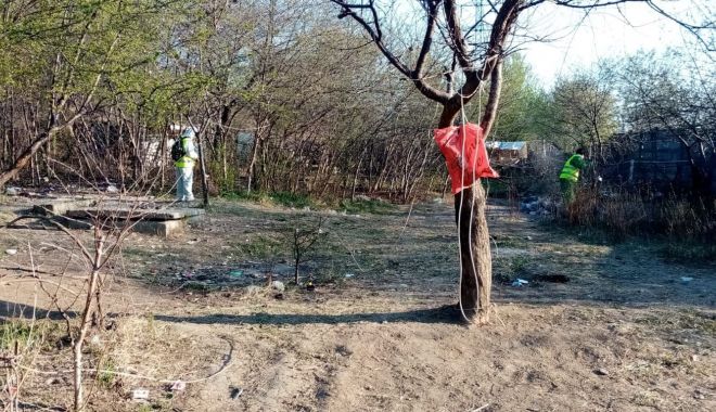 Tabără de nomazi, dezafectată de polițiștii locali, în Constanța - tabaradenomazi1-1585856856.jpg