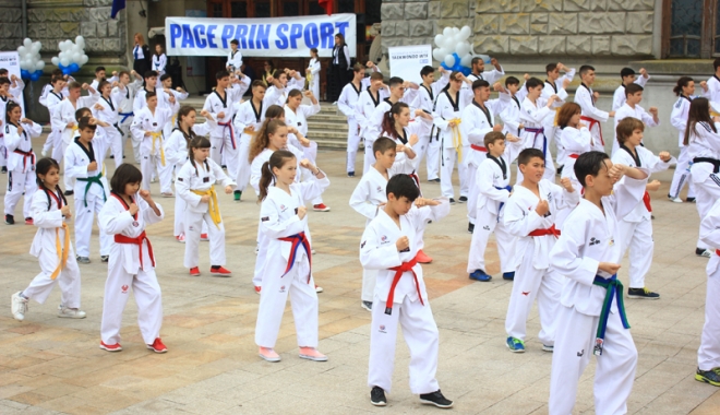 Taekwondo la putere, în week-end, la Constanța - taekwondo3-1462553386.jpg
