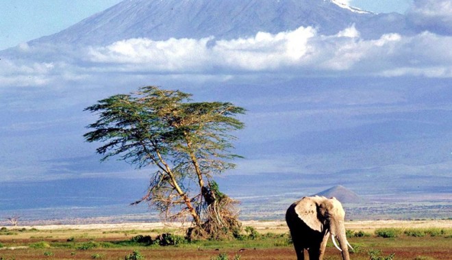 Vacanță pe bani mulți! Descoperă Tanzania și Zanzibar - tanzania-1372426668.jpg