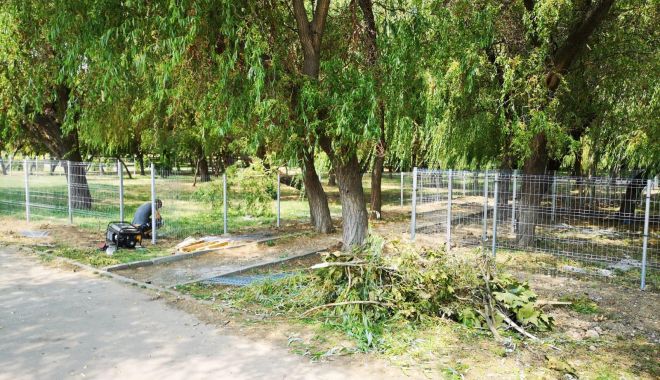 Țarc special amenajat pentru câini, în Parcul Tăbăcărie - tarculpentrucaini-1564603278.jpg