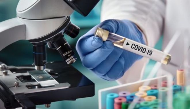 Vaccinul inventat de cercetării de la Oxford a dus la infectarea a șase maimuțe cu COVID-19 - tau-1589901594.jpg