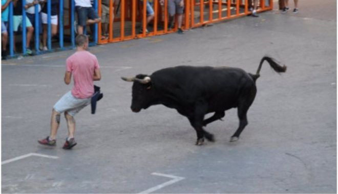 Un bărbat a fost ucis de un taur, iar alți doi au fost răniți, în timpul spectacolelor tradiționale din Spania - taur-1635695427.jpg