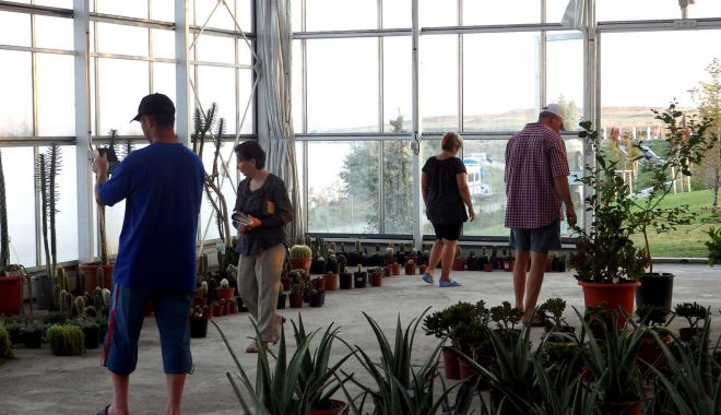 La Techirghiol poţi vizita o grădină botanică unică pe litoral - techirghiol-1626976990.jpg