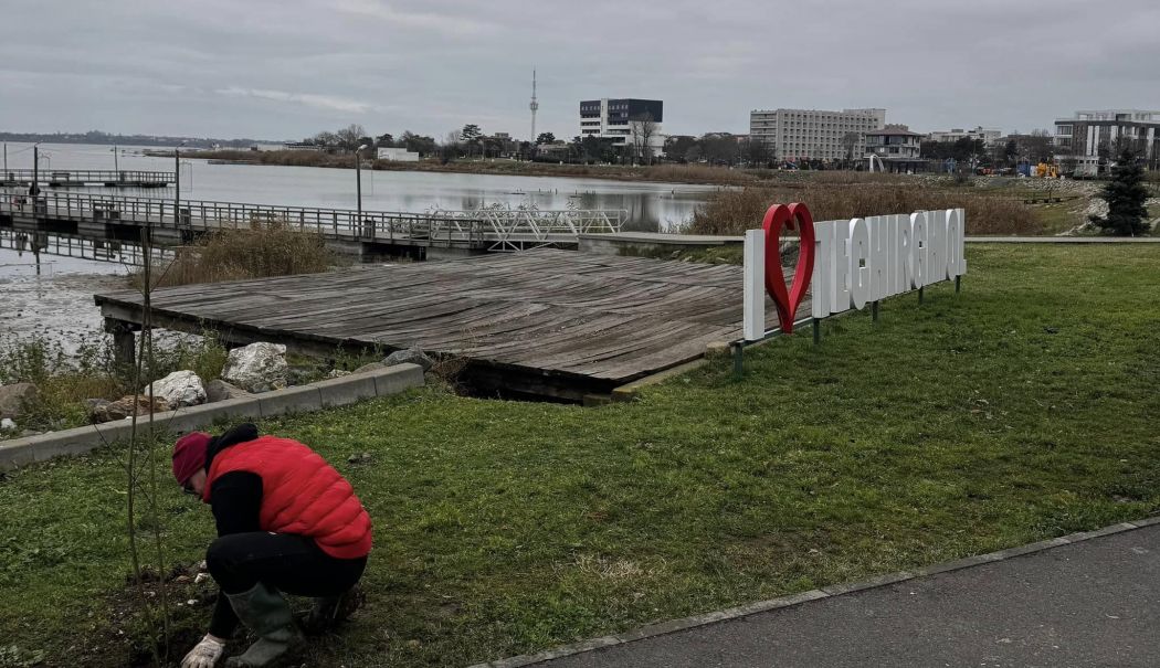 Administraţia locală din Techirghiol a plantat sălcii pe malul lacului - techirghiol-plantare-1734523945.jpg