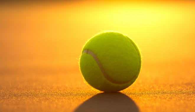 Tenis / Bogdan Borza, singurul român prezent în calificările pentru turneul BRD Năstase Țiriac Trophy - tenis-1460800598.jpg