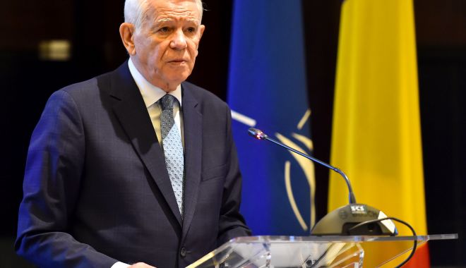 Teodor Meleșcanu: 