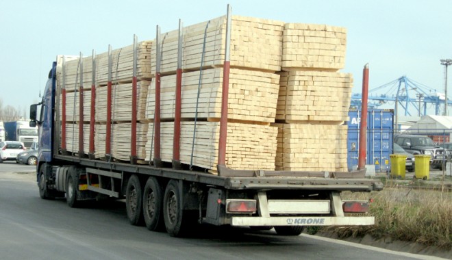 Țepe cu rumeguș în loc de cherestea, în portul Constanța - tepecurumegusinlocdecherestea-1386356561.jpg