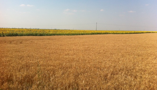 Tranzacțiile de terenuri agricole, avizate de ADS? - teren-1358464978.jpg
