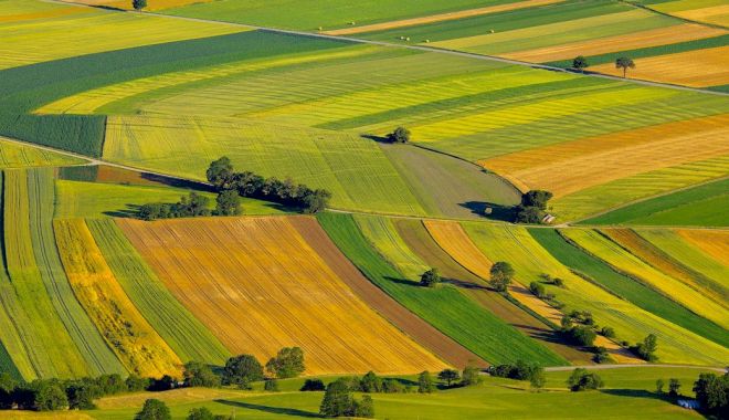 Daea: Străinii nu dețin 40% din terenurile agricole, legislația va fi modificată - teren-1539750921.jpg