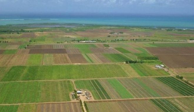 Ce terenuri s-au mai vândut în noiembrie - terenuriagricole-1605292017.jpg