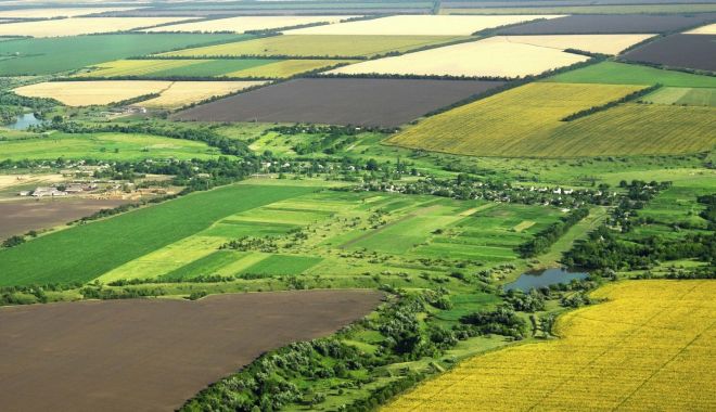 Terenurile agricole se vor putea vinde după ambele legi - terenurileagricolesevorputeavind-1606418015.jpg