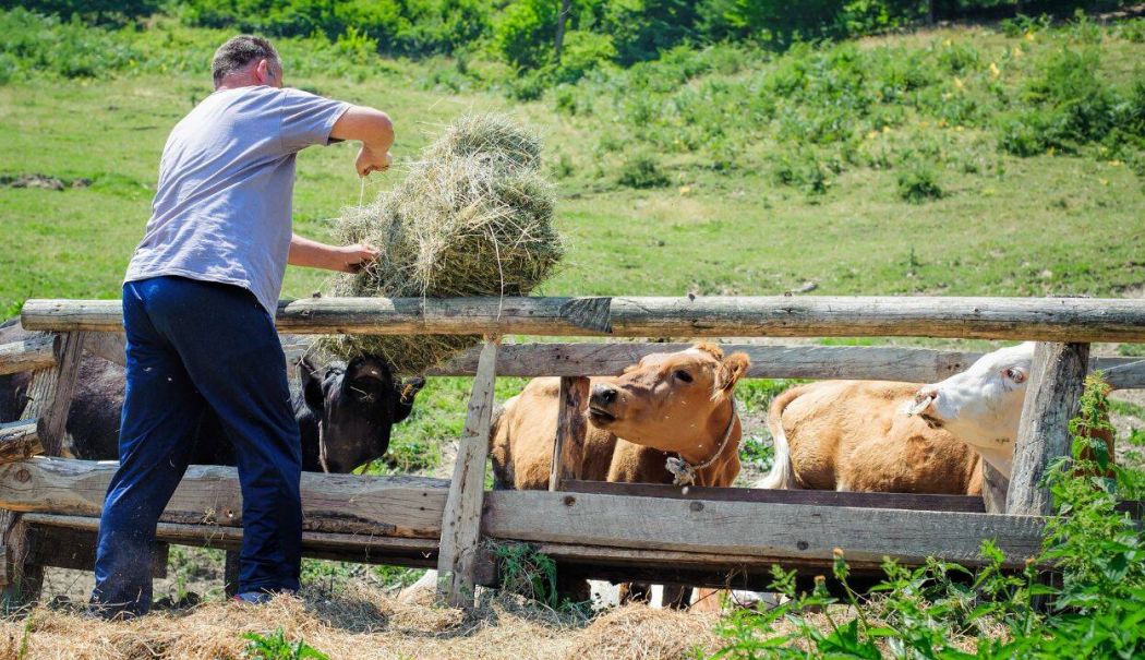 Anunţ important de la APIA, pentru crescătorii de animale - terenuristatatribuiredirectaferm-1721817982.jpg