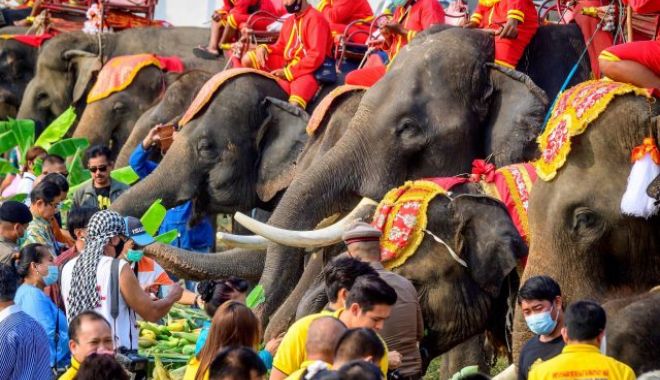 REUTERS: Ziua Elefantului, celebrată în speranţa revenirii turiştilor în Thailanda - thailandaelefanti640x400-1615642080.jpg