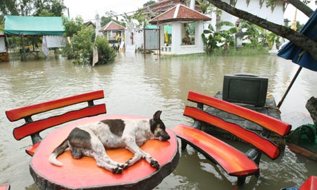 Stare de dezastru în Thailanda în urma inundațiilor - thailandfloodspakkret-1319200364.jpg