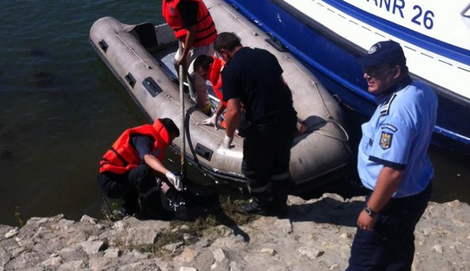Iată de ce a murit copilașul de doi ani, găsit fără suflare pe malul canalului, la Medgidia - tigani31402568047-1403271074.jpg