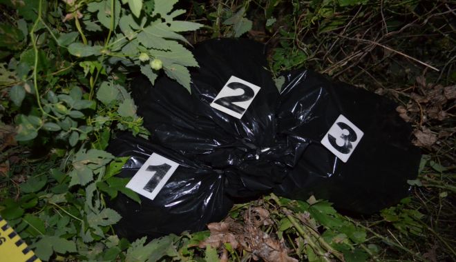 Țigări de contrabandă, confiscate la frontieră - tigari-1566987129.jpg