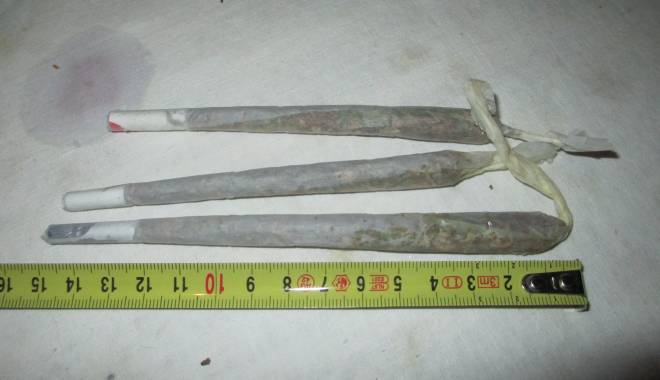 Etnobotanice pe străzile Constanței. Jandarmii sunt pe urmele consumatorilor - tigarimarijuanaetnobotanicedrogu-1432827687.jpg