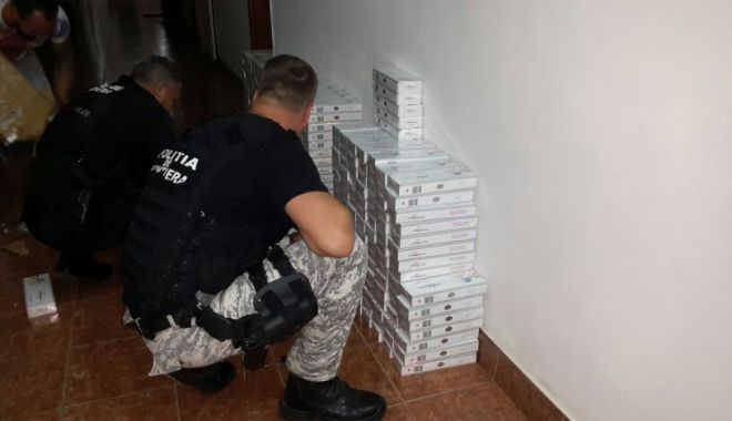 Țigări ascunse pe navă, găsite cu ajutorul câinelui 