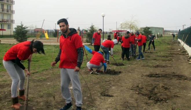 Tinerii din PSD Cumpăna, participanți la o acțiune de ecologizare - tineriidinpsdcumpana-1458495242.jpg