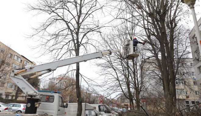 Arborii din cartierele constănţene sunt pregătiţi de primăvară - toaletare4-1677499406.jpeg