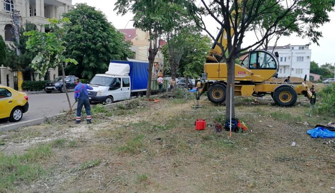 Continuă lucrările de toaletare a copacilor din Constanța - toaletare5-1591883628.jpg