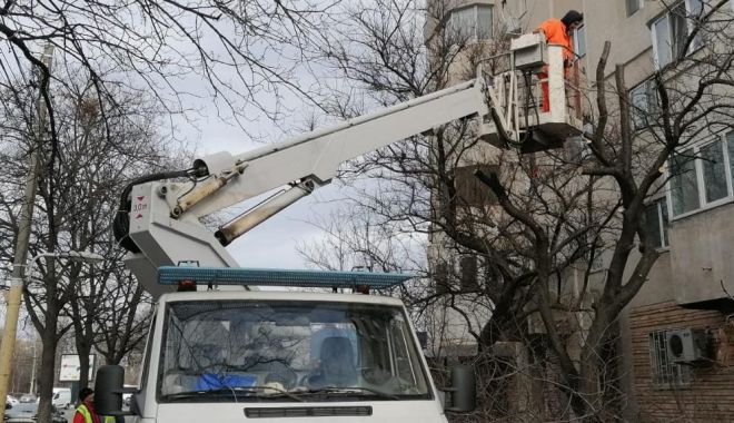 Continuă toaletarea și corecția arborilor, în municipiul Constanța - toaletareasursaprimariaconstanta-1580849655.jpg