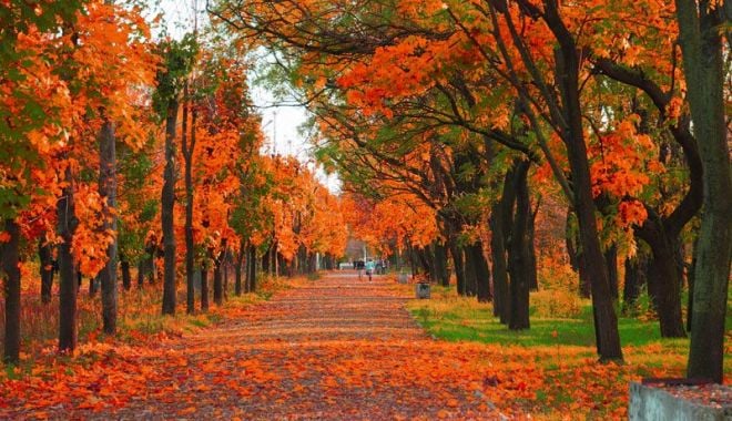 După zile calde ca de august, temperaturile vor scădea brusc - toamna-1631254900.jpg