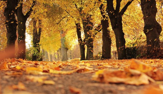 Cum va fi vremea în octombrie. ANM: Temperaturile pot urca până la 38 de grade Celsius