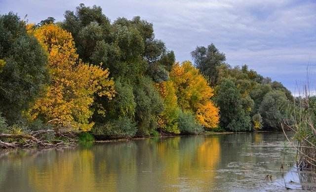 Vremea se încălzește ușor astăzi. Unde mai plouă și în ce zone temperaturile ajung la 20 de grade - toamnadeltadunarii-t-1759990226.jpg