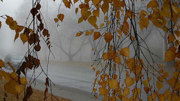 ANM, PROGNOZA METEO PENTRU TREI LUNI. IATĂ CÂND VIN PLOILE ȘI CÂND SCAD TEMPERATURILE - toamnaploaie65940400-1504505824.jpg