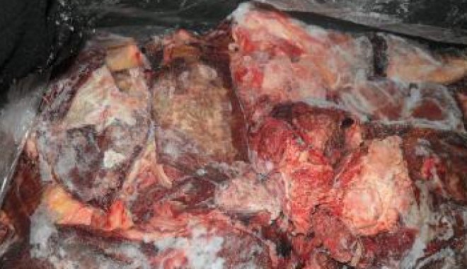 Sute de kilograme de carne congelată, descoperite pe marginea unui lac - toboccom70261700-1361640875.jpg