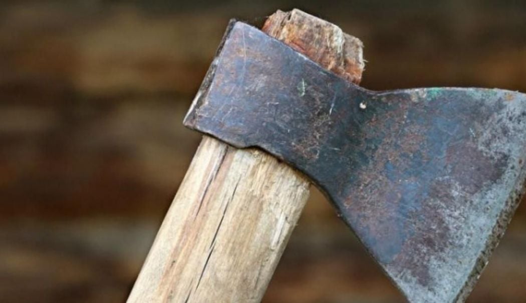 Acuzat că şi-a ucis părinţii cu toporul în timp ce dormeau! Bărbatul este acum arestat preventiv - topor-1733749043.jpg