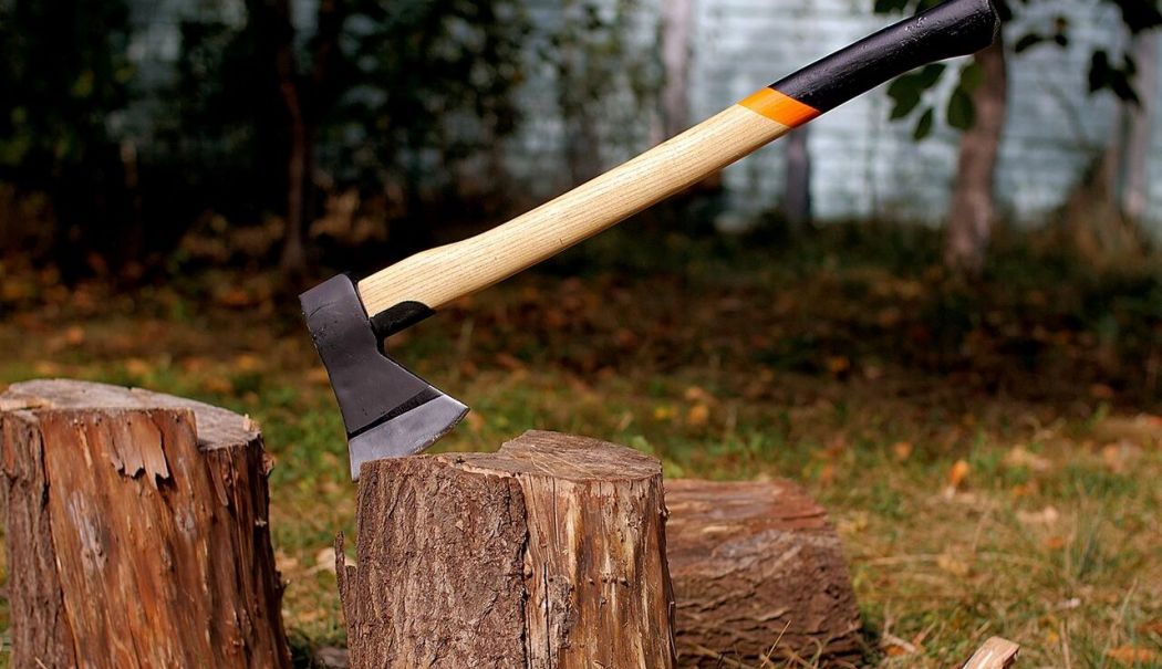 O tânără de 22 de ani a fost ucisă cu un topor de concubinul ei. Bărbatul a încercat să fugă - topor-1750084842.jpg