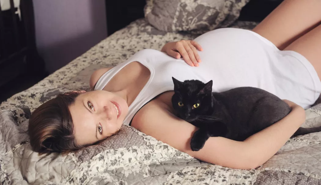 Măsuri simple care reduc riscul de toxoplasmoză în sarcină