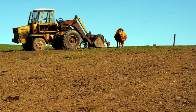 Tinerii fermieri constănțeni au trei luni în plus pentru a cere banii europeni - tractor-1328631383.jpg