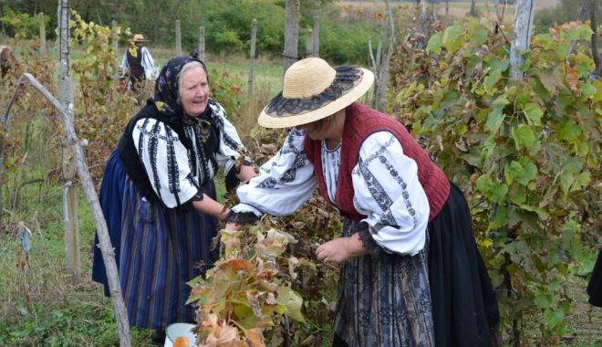 Tradiţii populare legate de culesul viei şi obţinerea vinului - traditii1-1634145441.jpg