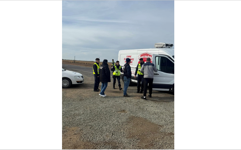 Traficul ilegal de deșeuri, sub lupa Gărzii de Mediu Constanța - trafic-deseuri-1738917614.png