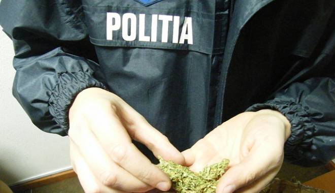 TRAFIC CU DROGURI, PRIN CURIERAT - traficdroguricannabis-1455189183.jpg