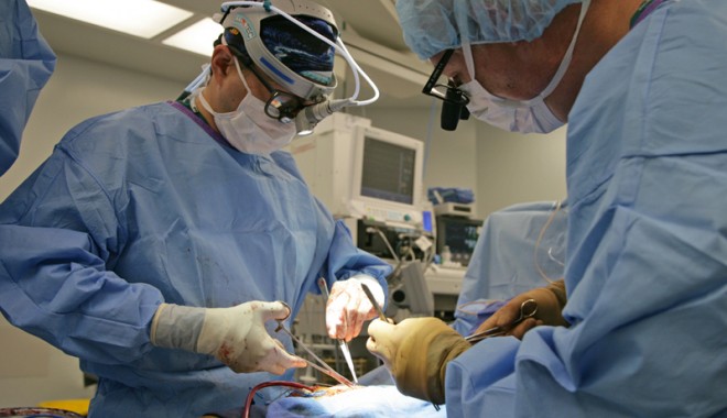 TRASEUL DURERII. Bolnava de cancer UMILITĂ ÎN CRAIOVA a fost internată în Spitalul Județean Constanța! - transplant13402129251368450755-1369920765.jpg