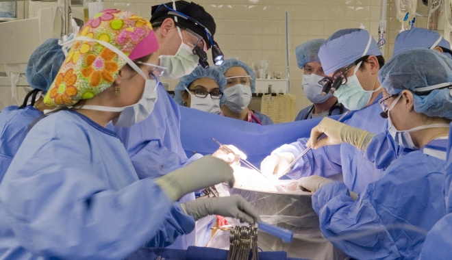 ORGANE UMANE CRESCUTE ÎN INTERIORUL PORCILOR. Descoperire medicală! - transplantficat-1465196142.jpg