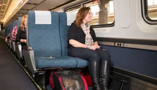 Puteți călători cu trenul, cu animalul de companie. Care sunt condițiile - transport2-1641234978.jpg