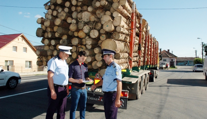 Transporturi  cu lemne  în condiții dubioase. Polițiștii constănțeni  au intrat pe fir - transporturi-1505313978.jpg