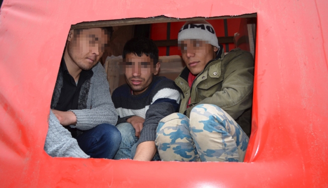 Imigranți din Afganistan, ascunși într-un TIR,  reținuți la Constanța - trei-1461689868.jpg