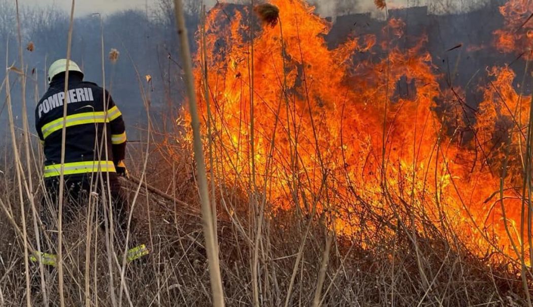 Incendiu la Techirghiol. Vegetația uscată de pe strada Emil Cioran a luat foc - treifermiericareauprovocatincend-1755953805.jpg